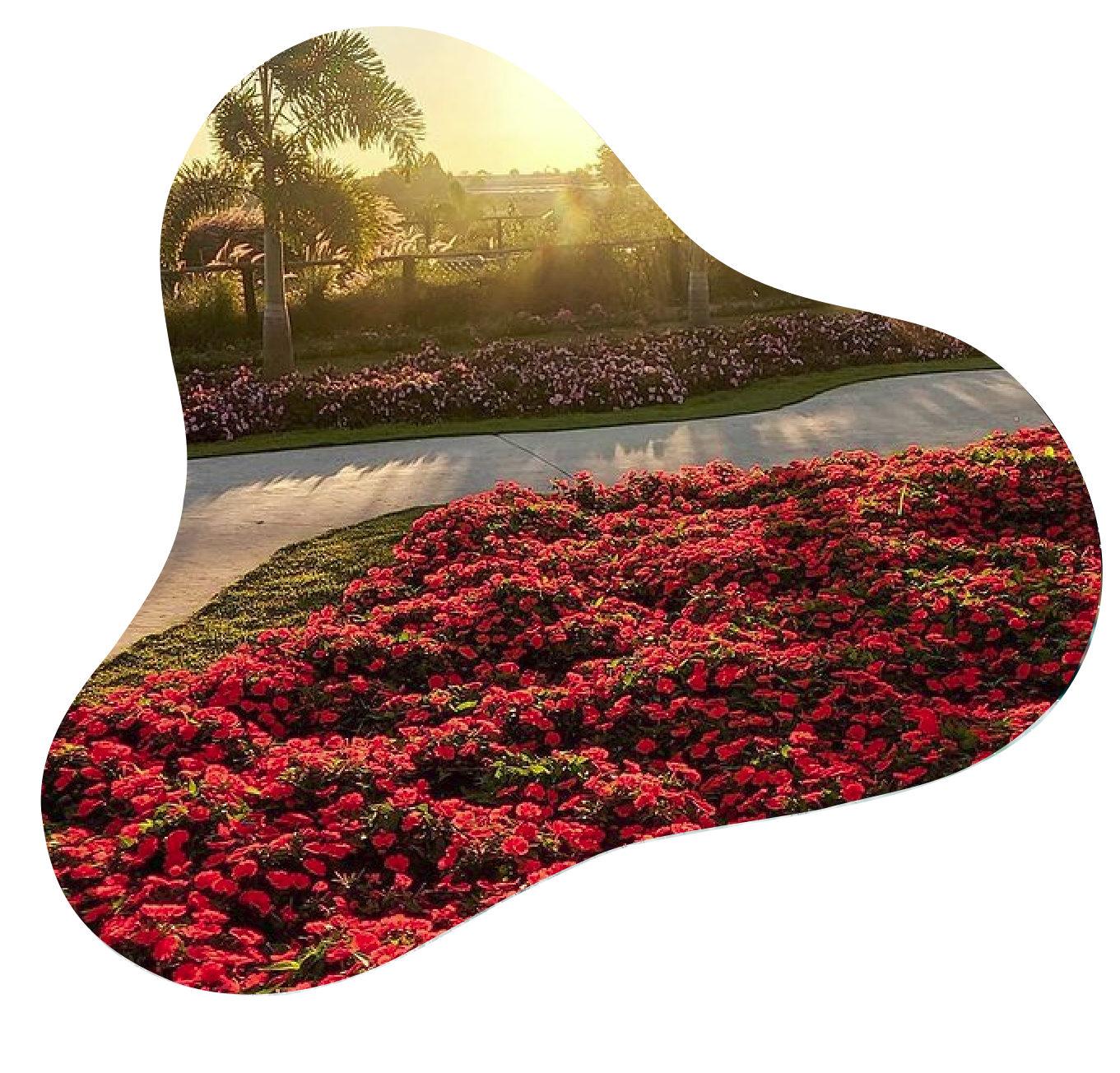 Bloemen park